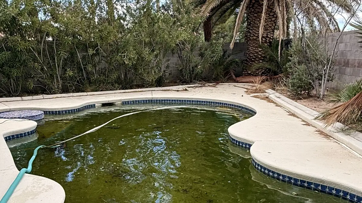 Green neglected pool in a Las Vegas backyard before cleaning
