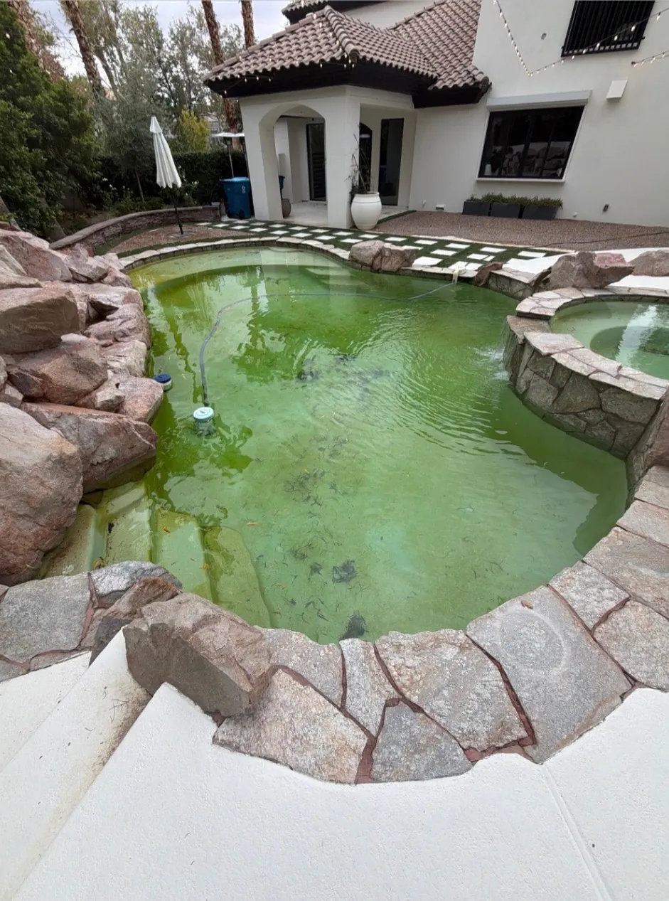 Green cloudy pool with debris after a storm in Las Vegas