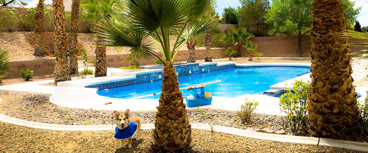 Pool service Seven Hills Henderson NV